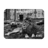 アソス –  マグネット (横)