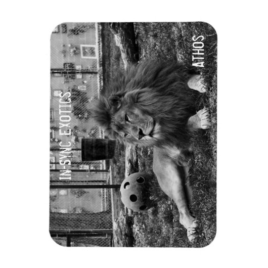 アソス –  マグネット (縦)