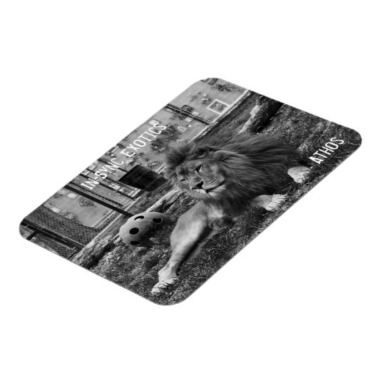 アソス –  マグネット (左側)