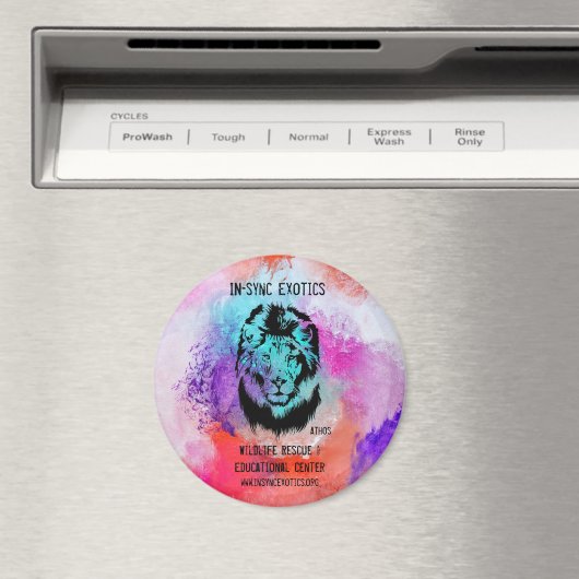 アソス – マグネット (インサイチュ (食洗機))