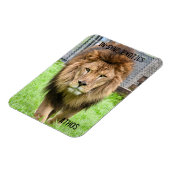 アソス・ライオン –  マグネット (左側)