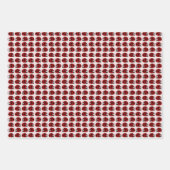 アソートクリッターズペンギンラディブガメ ラッピングペーパーシート (正面2)