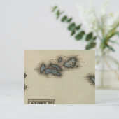 アゾア諸島地図 ポストカード (スタンド正面)