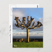 アゾレスの絵葉書 - 神の母の聖堂 ポストカード (正面/裏面)