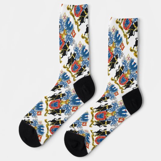 アゾレスポルトガル ソックス (左)