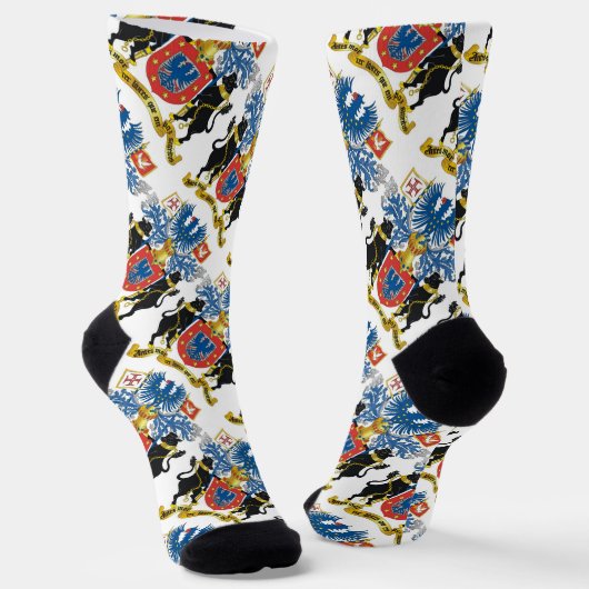 アゾレスポルトガル ソックス (傾斜あり)