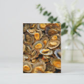 アゾレスリンペット「ラパス」 ポストカード (スタンド正面)