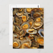 アゾレスリンペット「ラパス」 ポストカード (正面/裏面)