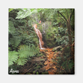 アゾレス磁石 – カルデイラベルハ マグネット