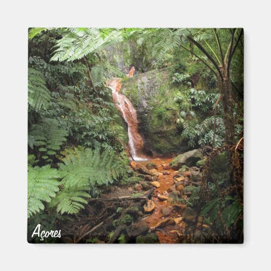 アゾレス磁石 – カルデイラベルハ マグネット (正面)