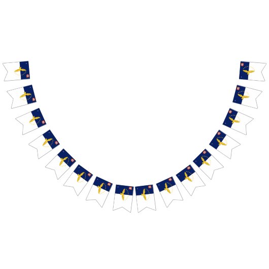 アゾレス諸島の旗を掲げた旗 バンティングフラッグ (全)