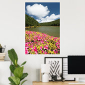 アゾレス諸島エンパダダス湖 ポスター (ホームオフィス)