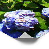 アゾレス諸島ファーナス湖 ポスター (角)