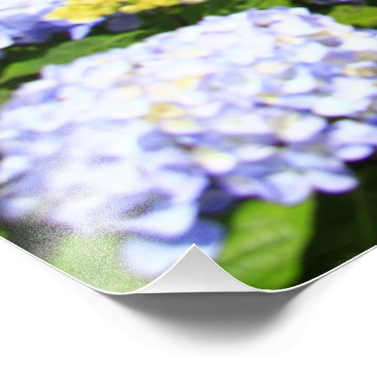 アゾレス諸島 フォトプリント            (角)