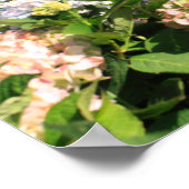 アゾレス諸島 ポスター (角)