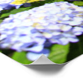 アゾレス諸島 ポスター (角)