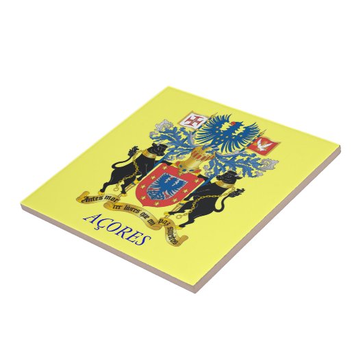 アゾレス諸島*装飾タイル タイル (側面)