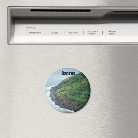 アゾレス類(アゾレス類)アゾレス類マグネットアゾレス類冷蔵庫用マグネット マグネット (インサイチュ (食洗機))