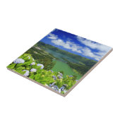 アゾレス·セテ·シダデス タイル (側面)