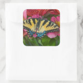 アタイガーアゲハチョウ蝶 スクエアシール (バッグ)