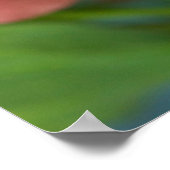 アタイガーアゲハチョウ蝶 ポスター (角)