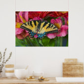 アタイガーアゲハチョウ蝶 ポスター (キッチン)