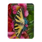 アタイガーアゲハチョウ蝶 マグネット (縦)