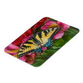 アタイガーアゲハチョウ蝶 マグネット (左側)