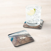 アタカマ砂漠とアンデスの塩フラッツ コースター (右側)