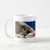 アタカマ砂漠チリのビスカチャ日光浴 コーヒーマグカップ (左)