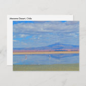 アタカマ砂漠フラミンゴチリ葉書 ポストカード (正面/裏面)