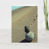 アタカマ砂漠 カード (正面)