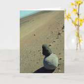 アタカマ砂漠 カード (黄色い花)