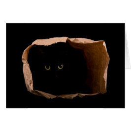 アタックキャットに用心!