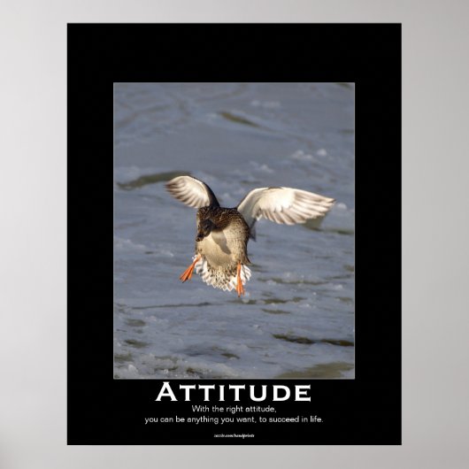 アタッチメントマラードアヒルやる気を起こさせるポスター ポスター (正面)