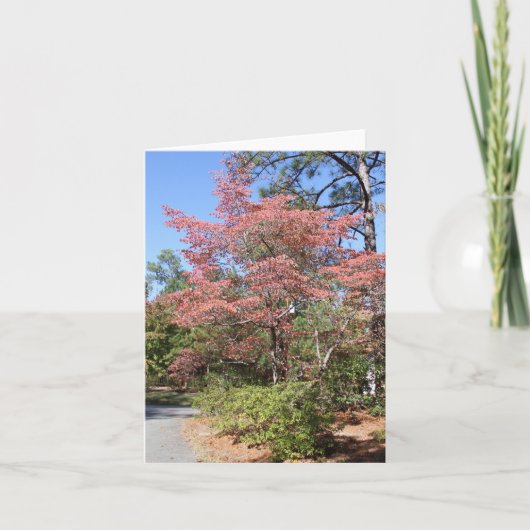 アターム・ドッグウッド カード (正面)