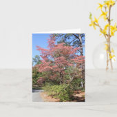 アターム・ドッグウッド カード (黄色い花)