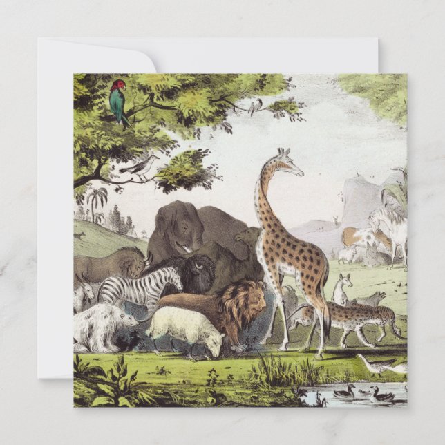 アダムが生き物の名前を付ける (正面)