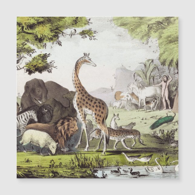 アダムが生き物の名前を付ける (正面)