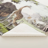 アダムが生き物の名前を付ける シェルパブランケット (3/4)