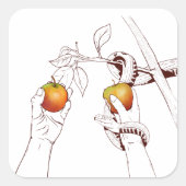 アダムとエバ スクエアシール (正面)