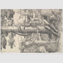 アダムとエバ：人間の秋（ルーカス・ヴァン・レイデン）