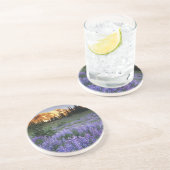 アダムス山と亜高山帯の草原の夕日 コースター (側面)