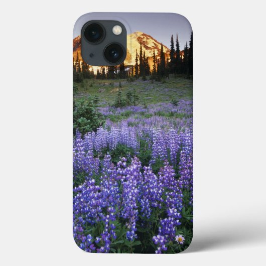 アダムス山と亜高山帯の草原の夕日 Case-Mate iPhoneケース (裏面)