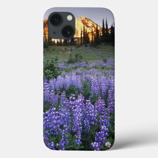 アダムス山と亜高山帯の草原の夕日 Case-Mate iPhoneケース (裏面)