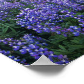 アダムス山の夕日と亜高山草原 ポスター (角)