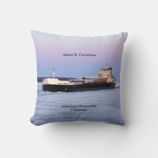 アダム・E・コーネリアス角形枕 クッション (正面)