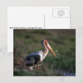 アダルトス絵を描トーク ポストカード (正面/裏面)