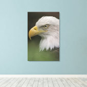 アダルトバルドイーグルポートレートハリアエータス キャンバスプリント (インサイチュ (ウッドフロア))