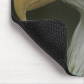 アダルトバルドイーグルポートレートハリアエータス マウスパッド (コーナー)